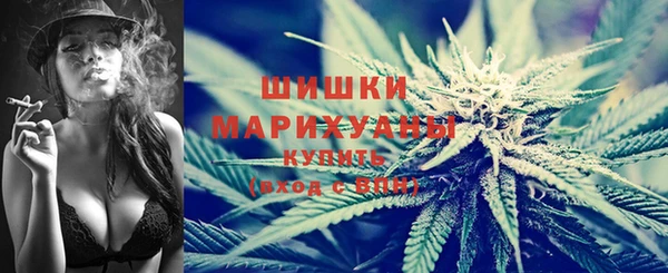 ПСИЛОЦИБИНОВЫЕ ГРИБЫ Балахна