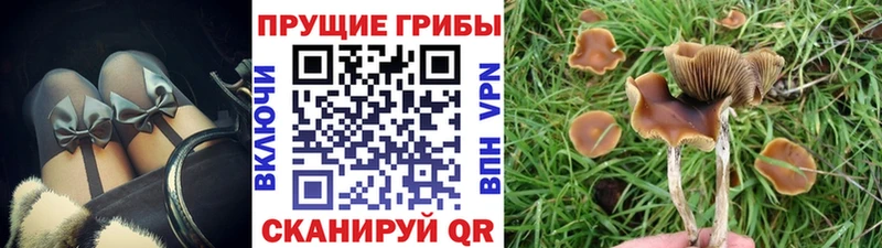 Галлюциногенные грибы Magic Shrooms  Тырныауз 