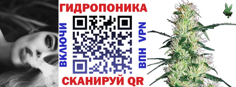 Бошки Шишки марихуана  Тырныауз 